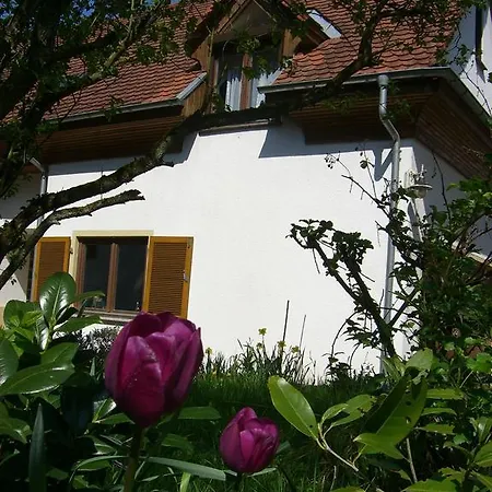 Apartment Lucia Huber *